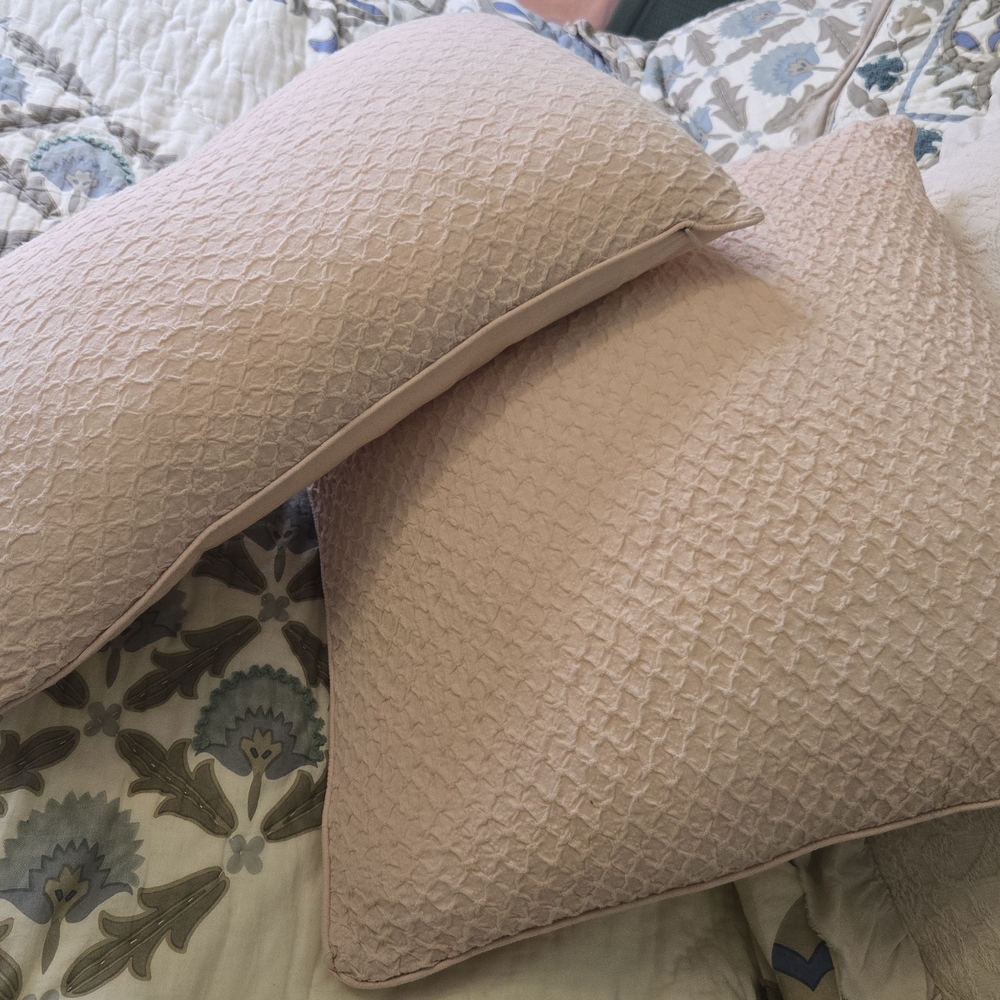 Nicole Miller NY Ultra Vintage Blush Neck+Toss Pillows Set